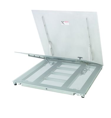 औद्योगिक लिफ्ट फ्लोर स्केल PFA779lift-DS300A - आसान रखरखाव पहुंच के साथ टिकाऊ प्लेटफॉर्म